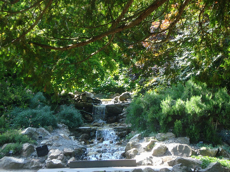Cataratas en jardín botánico
