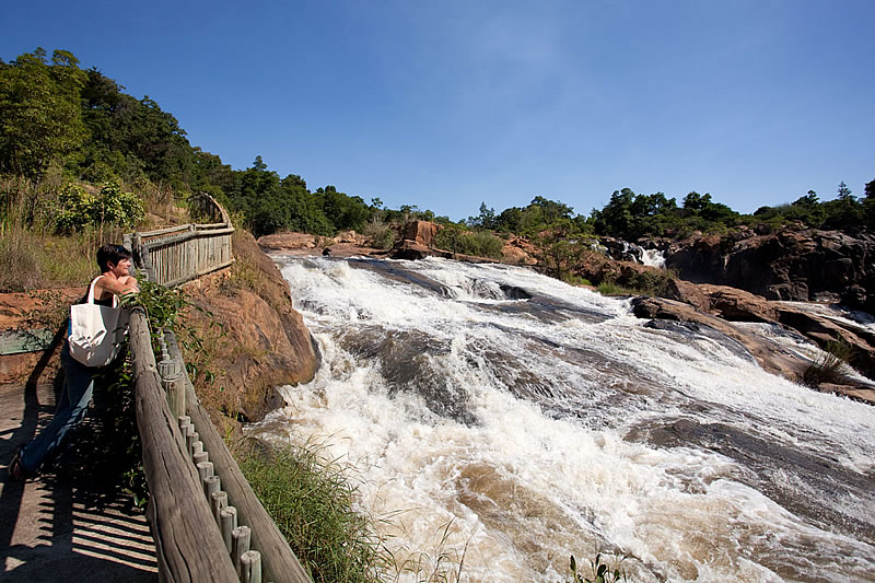 Cataratas en jardín botánico I