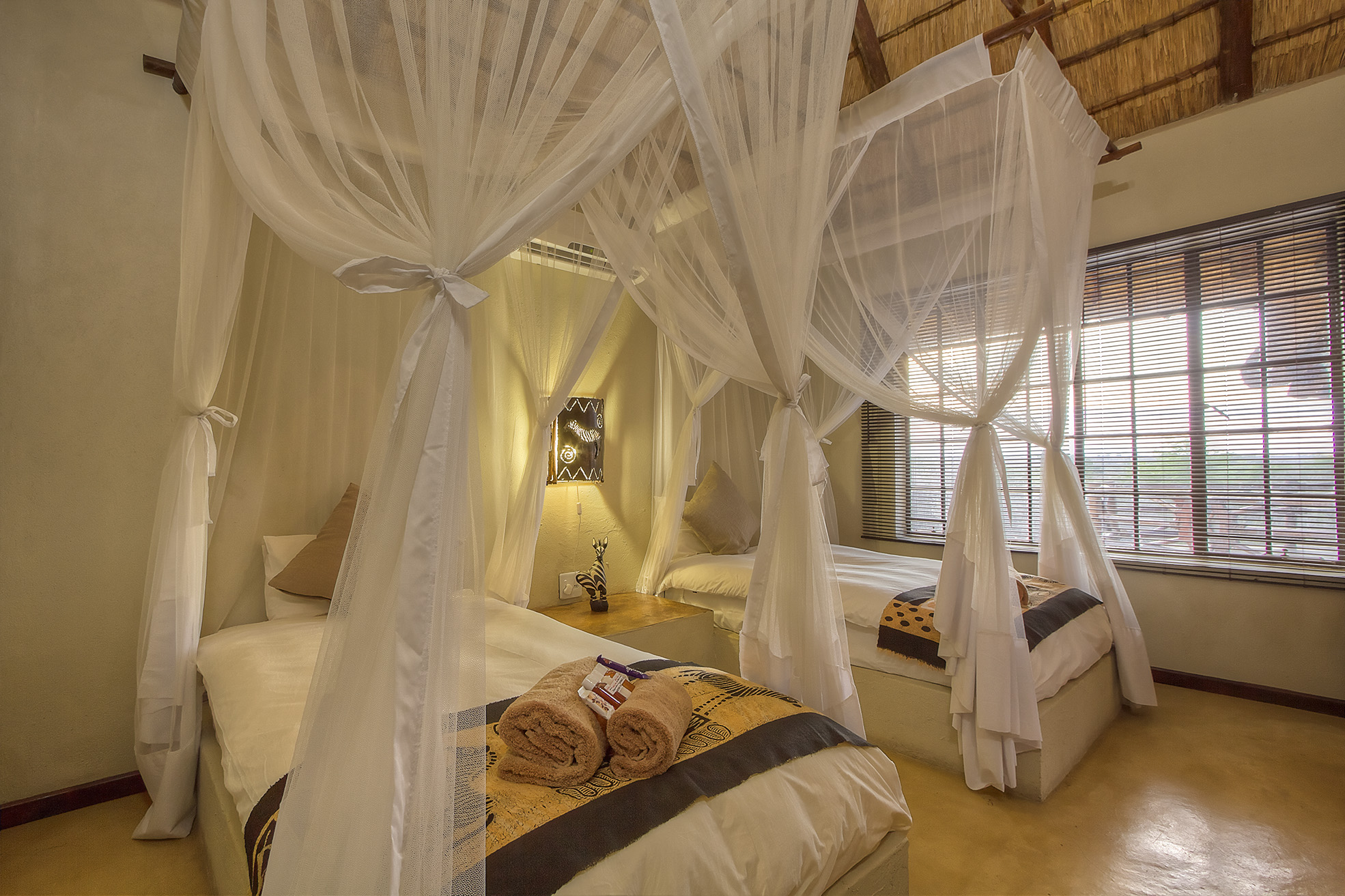 Habitación cebra con ventana